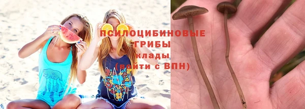 ешки Михайловка