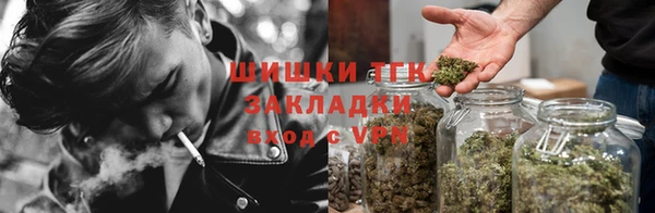гидра Алагир