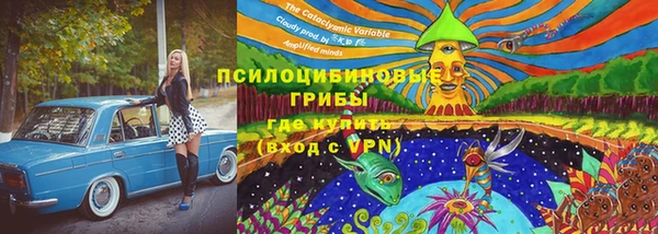 ешки Михайловка