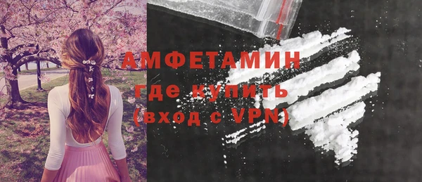 ГАЛЛЮЦИНОГЕННЫЕ ГРИБЫ Михайлов