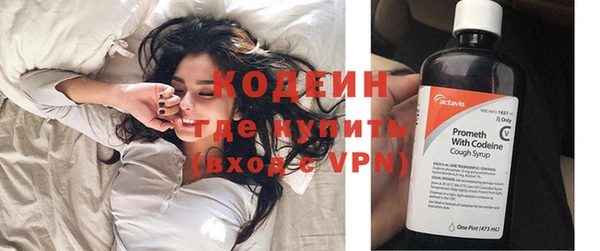 ГАЛЛЮЦИНОГЕННЫЕ ГРИБЫ Михайлов