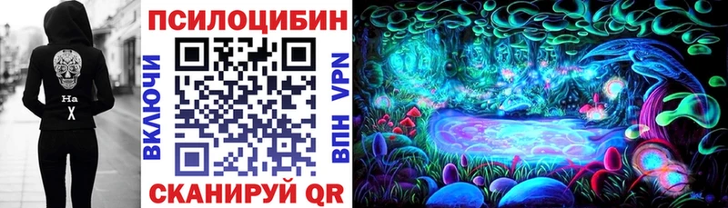 цены   Нюрба  Галлюциногенные грибы Psilocybe 